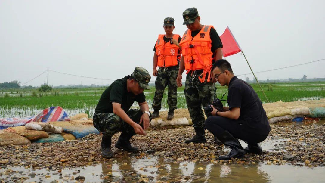 永修最新聞，背景探尋與時代地位的重要事件回顧