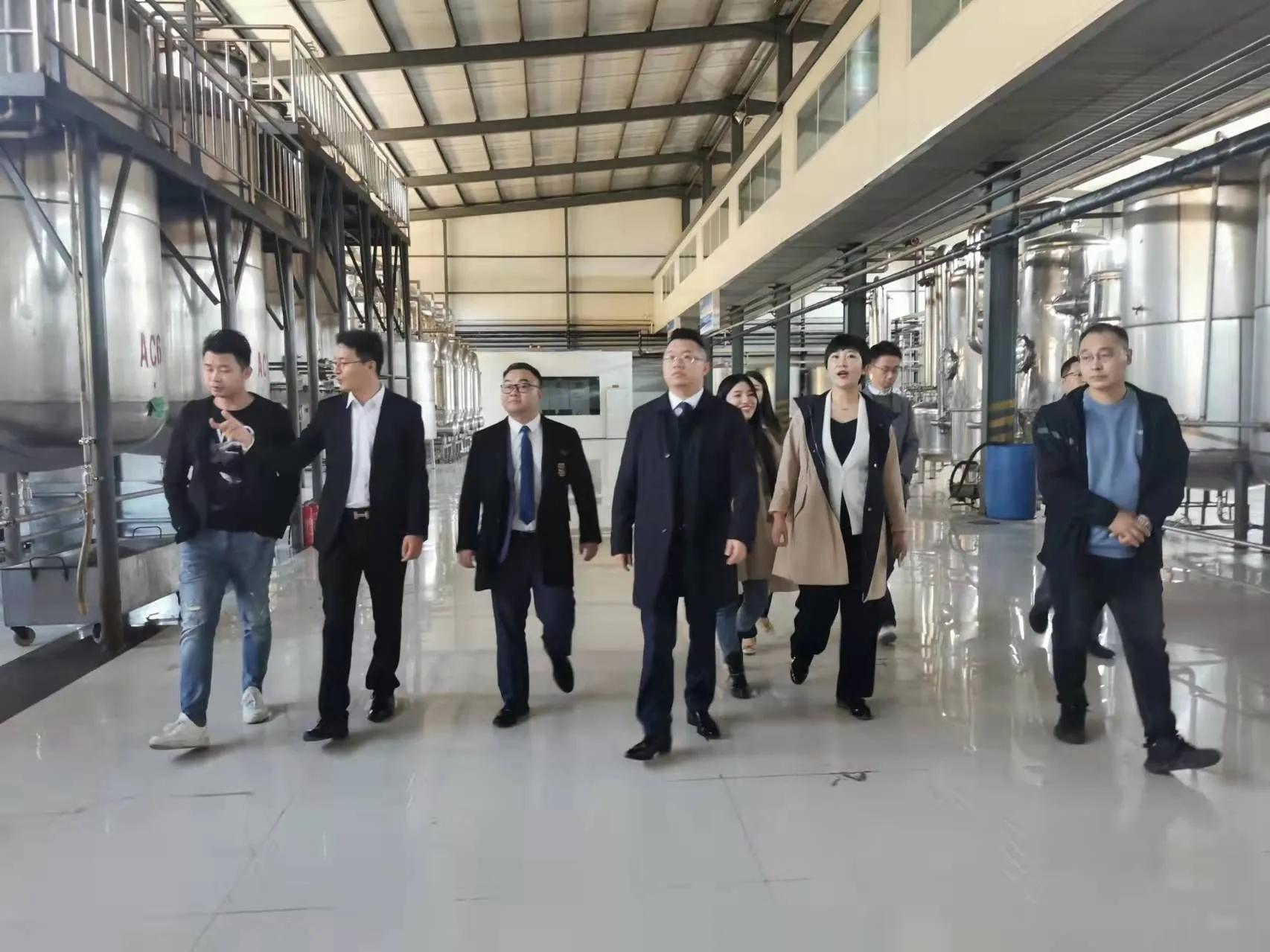 鼎恒升最新動態(tài)，追溯特定領(lǐng)域的發(fā)展歷程與重要地位