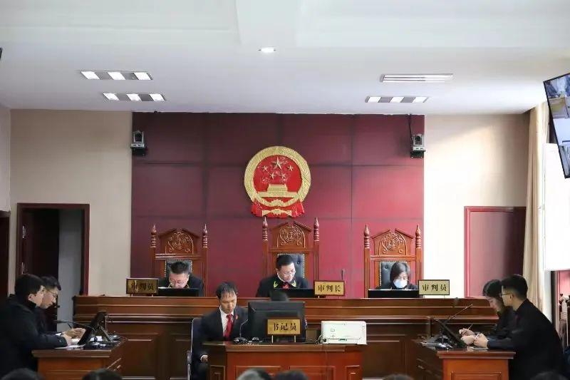 偏關(guān)最新案件深度解析，揭示真相，關(guān)注社會公正與公平