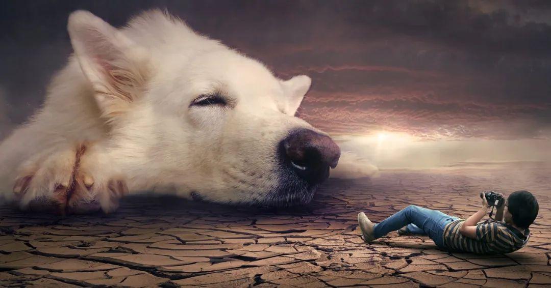 夢(mèng)境最新研究揭秘，探索人類夢(mèng)境的奧秘