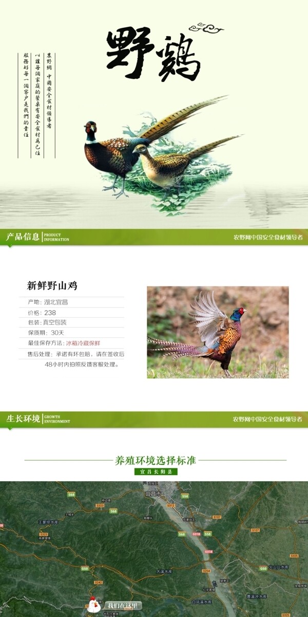 深度剖析，最新山雞的背景、事件與地位概述