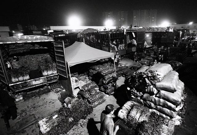 掌握新技能與完成任務(wù)，最新趨勢(shì)下的步驟指南