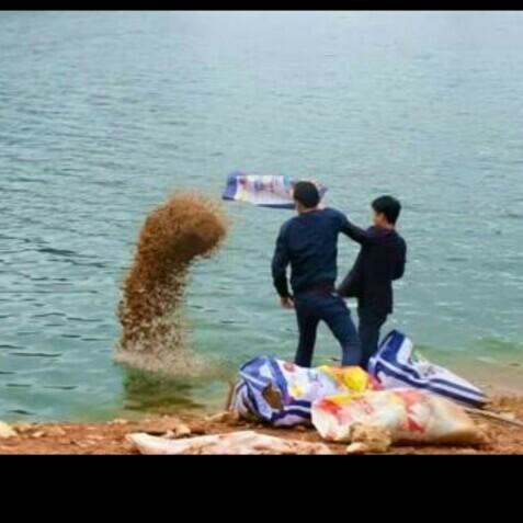 科學釣魚最新探索，學習與實踐的成就感之旅