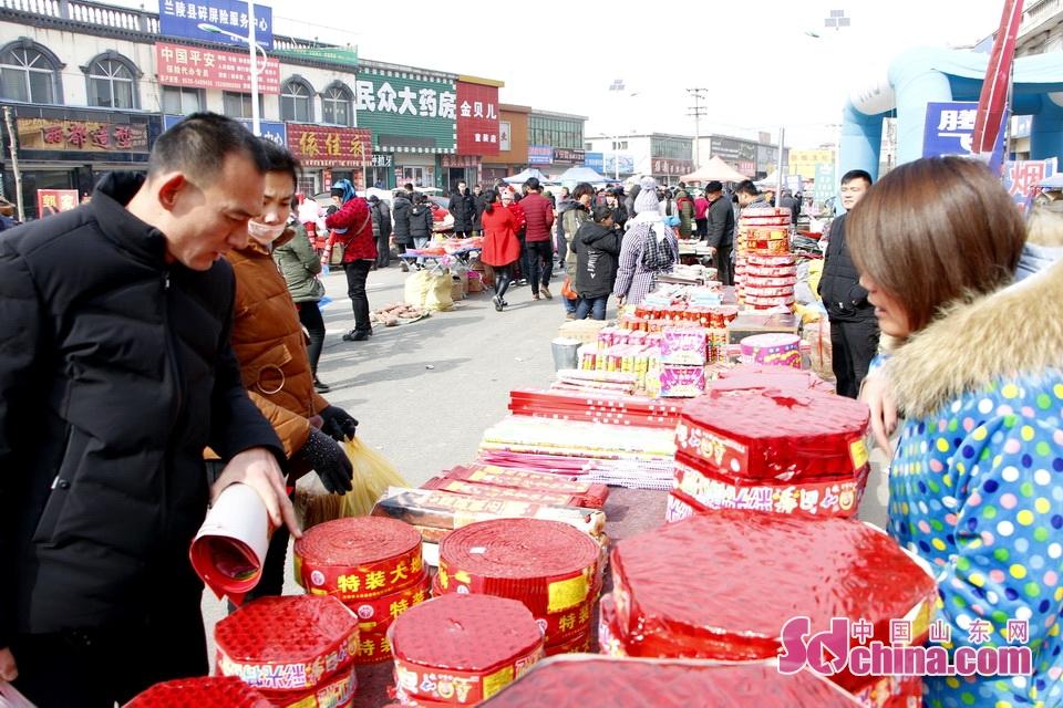 淘元素最新，淘淘的奇妙冒險(xiǎn)之旅與友情的溫暖體驗(yàn)