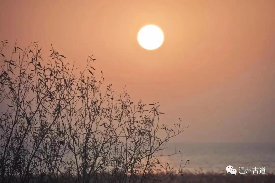 最新瘟疫詩詞，時(shí)代之聲與人文關(guān)懷的交融展現(xiàn)