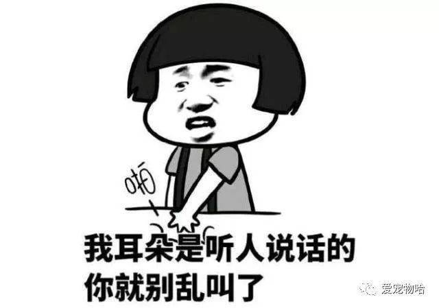 最新枕邊笑話，科技小寶貝，生活添樂趣