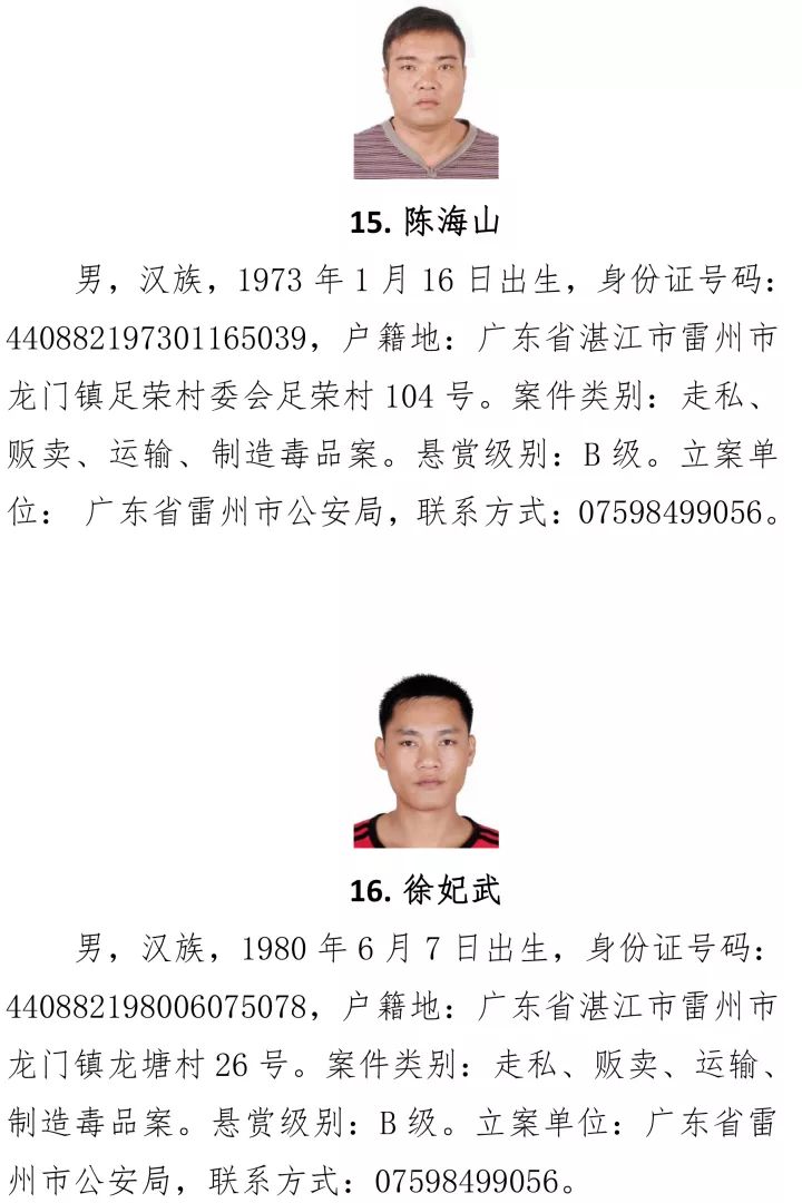 最新湛江人，掌握新技能與任務(wù)完成步驟指南