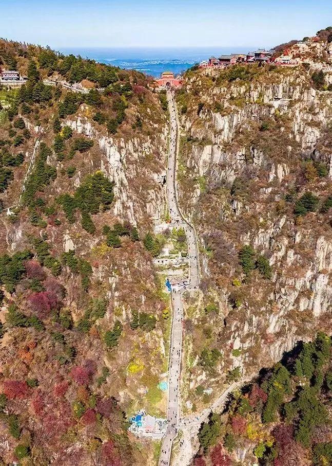 泰山最新聞，觀點與立場的深度探討