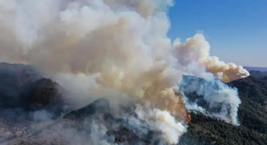 榆社山火防控指南，從初學(xué)者到進(jìn)階用戶的全步驟學(xué)習(xí)與防火任務(wù)實(shí)踐