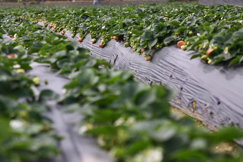 湖北最新封鎖，科技智能重塑防線，守護(hù)生活安全