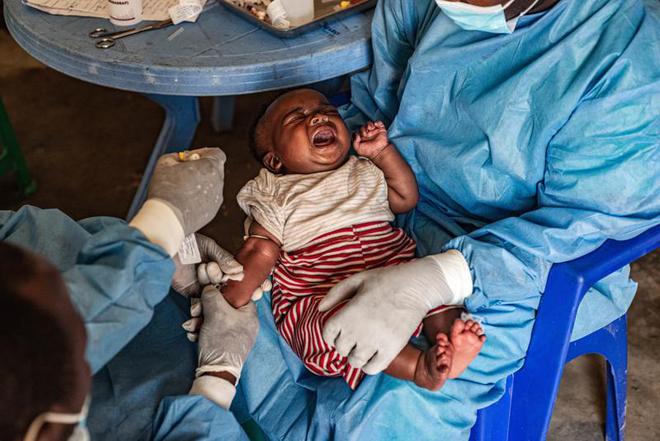 本土感染最新情況，自然美景中的探索之旅