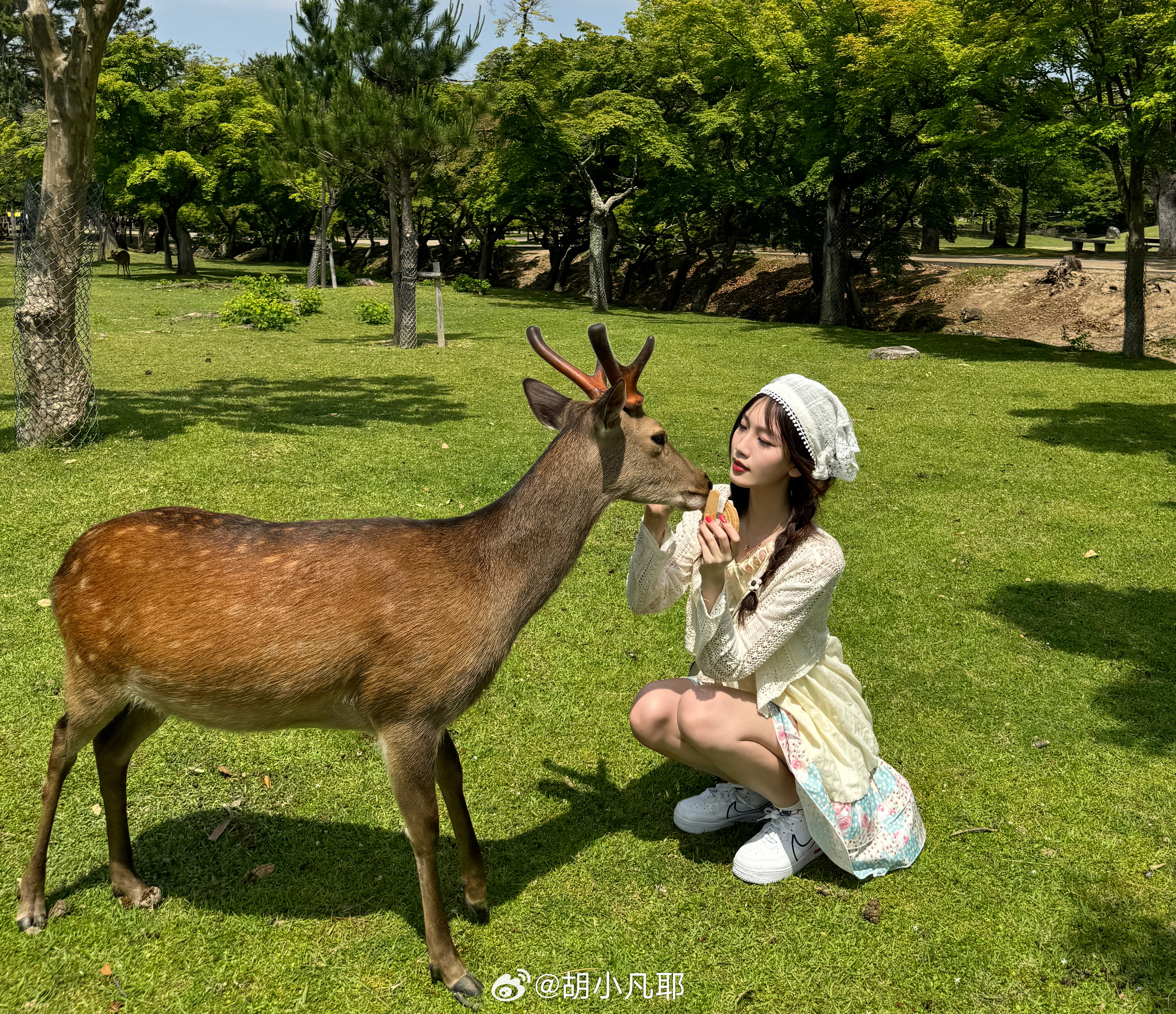 小鹿鹿最新，自然美景的探索之旅