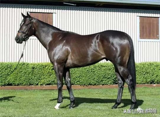 卡拉卡最新指南，任務(wù)完成與技能學習步驟攻略