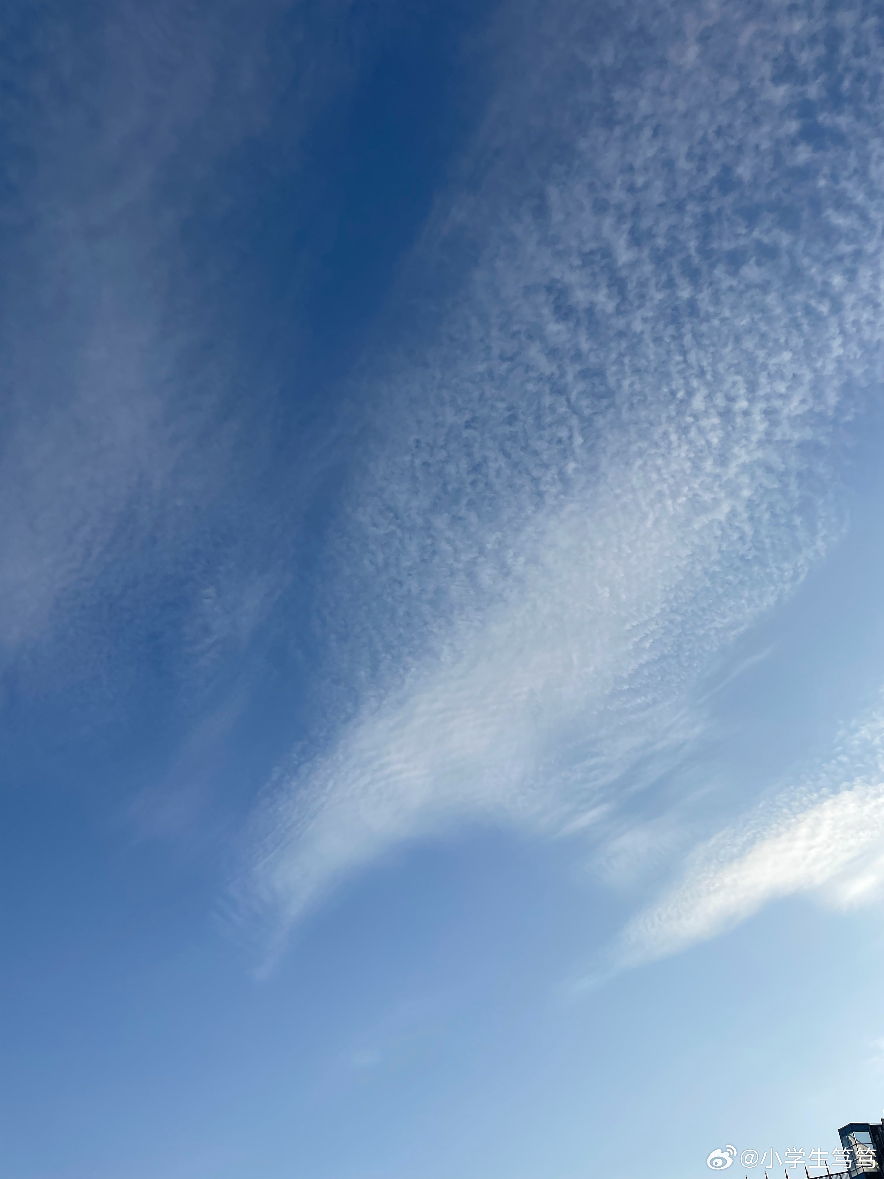 云飄飄最新，小巷深處的獨特風味美食體驗