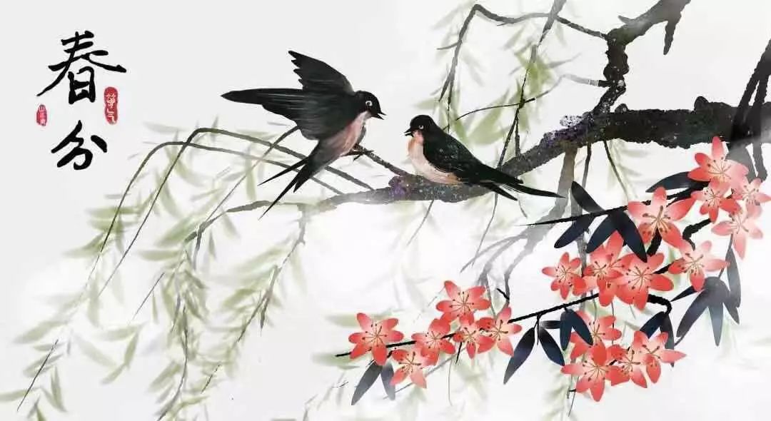 春分最新圖片，展現(xiàn)自然之美的瞬間