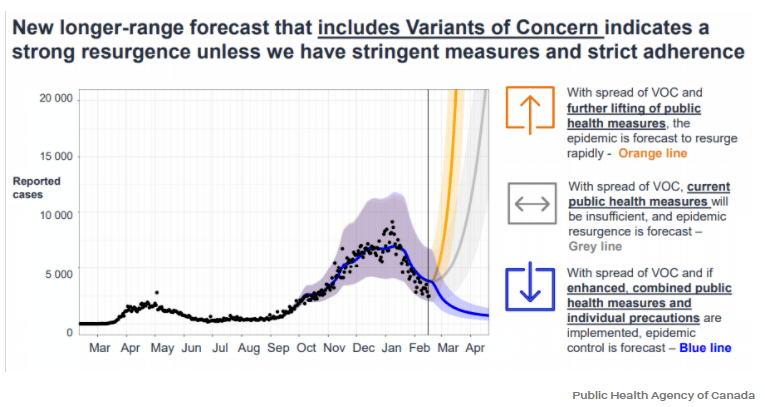 約克最新疫情動(dòng)態(tài)，學(xué)習(xí)變化中的自信與成就力量
