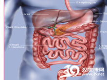 高科技產(chǎn)品重塑生活，體驗前沿魅力，探索腸鳴最新技術(shù)