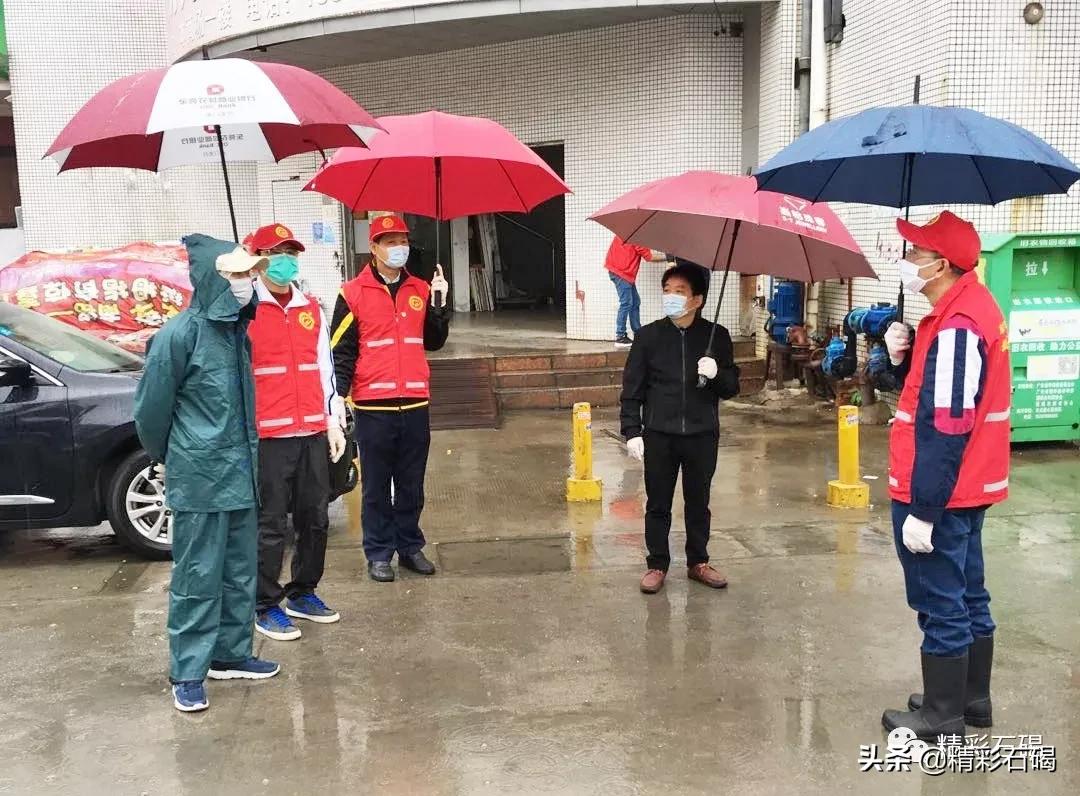 石碣最新疫情動(dòng)態(tài)，變化中的學(xué)習(xí)，鑄就未來(lái)力量