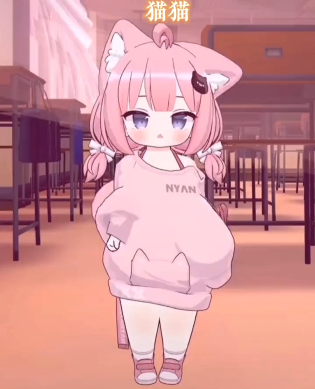 貓妹妹最新動(dòng)態(tài)，萌態(tài)盡顯，溫暖你的心??