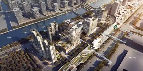 新中港最新動(dòng)態(tài)，時(shí)代的新航標(biāo)已啟航