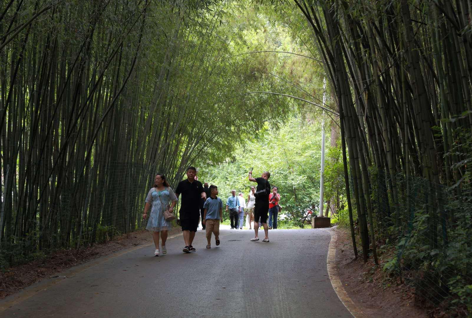 全家最新優(yōu)惠攻略，一步步教你享受最大優(yōu)惠折扣！