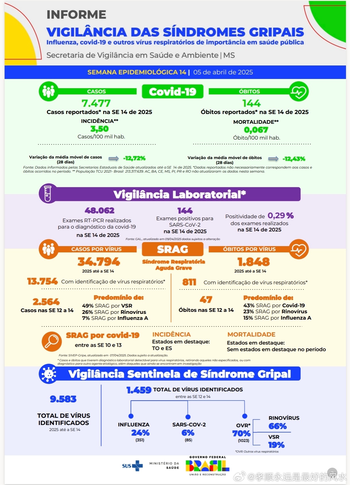 巴西最新疫情動態(tài)，變化中的力量與學(xué)習(xí)帶來的自信與成就感
