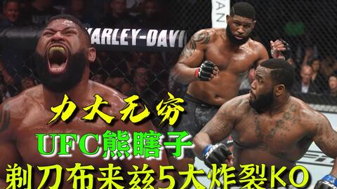 小菊最新比賽，友誼與夢(mèng)想的絢爛綻放