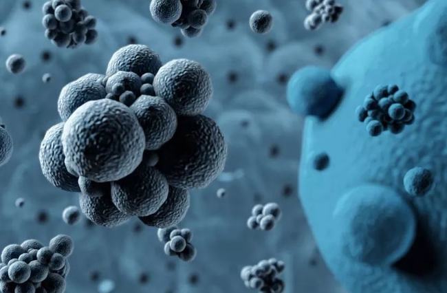 病毒擴(kuò)散最新情況，自然探險(xiǎn)之旅尋求內(nèi)心平和之地