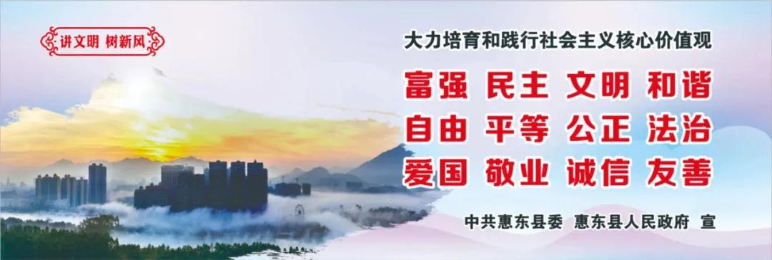 惠州肺炎最新動(dòng)態(tài)，小巷深處的獨(dú)特小店背后的故事