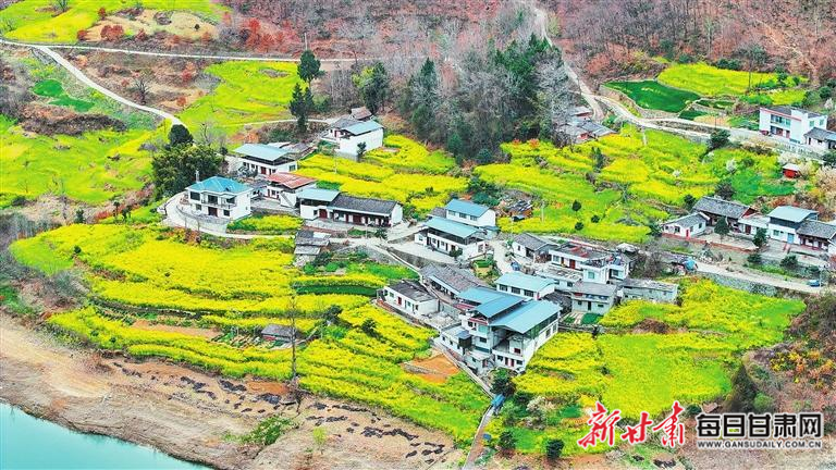 揭秘文縣，歷史背景、重大事件與時代地位全景展示