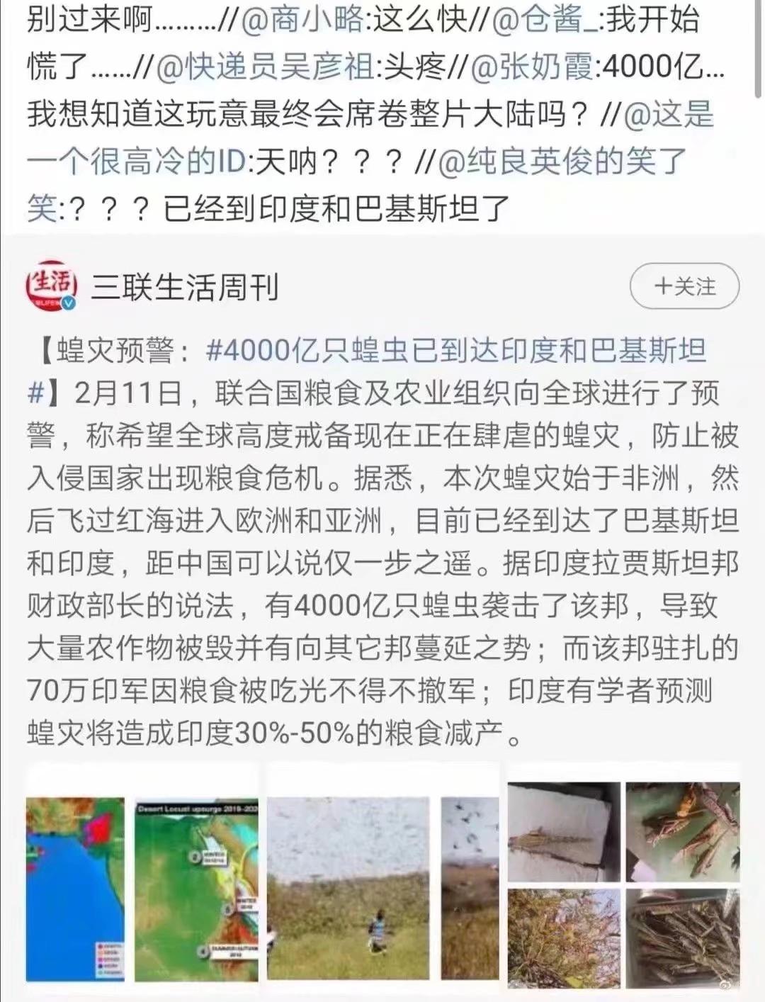 蝗蟲(chóng)最新動(dòng)態(tài)，防治與監(jiān)測(cè)的全面指南