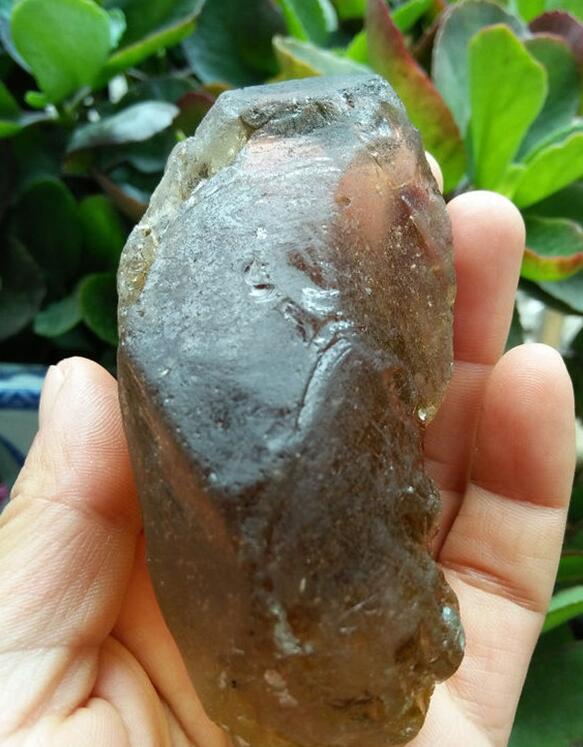 最新鑒定法，揭示友情的印記與家的溫馨