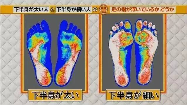 最新地趾論述，探索、爭議與觀點綜述