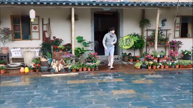 最新蘑菇屋，自然與生活完美融合的夢幻之地