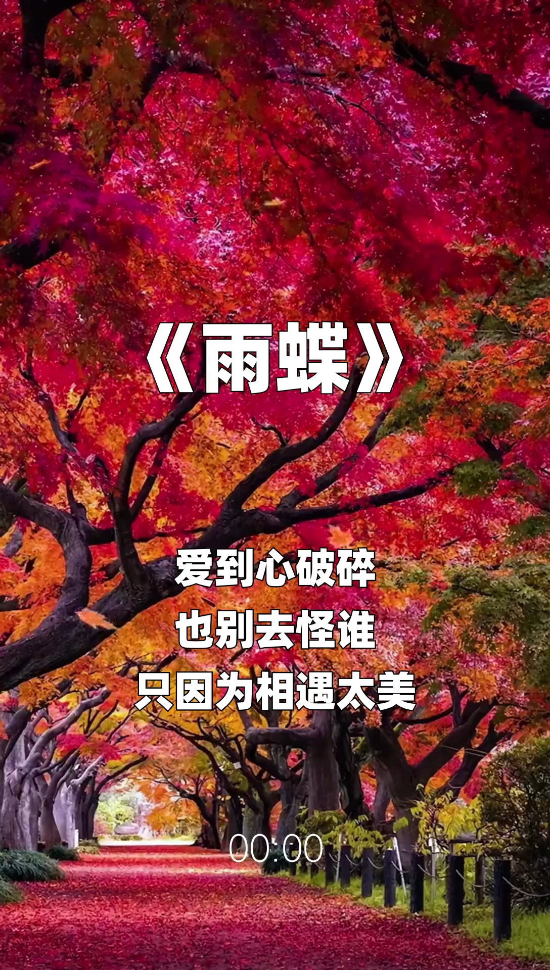 雨蝶最新步驟指南，如何完成任務(wù)或?qū)W習(xí)技能？