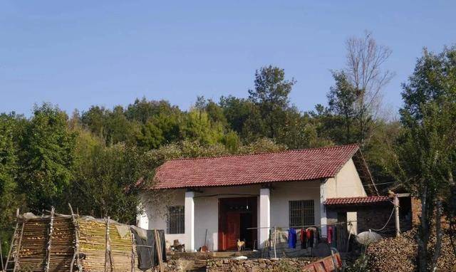 新時代田園生活揭秘，鄉(xiāng)村農(nóng)村的最新風(fēng)貌與體驗