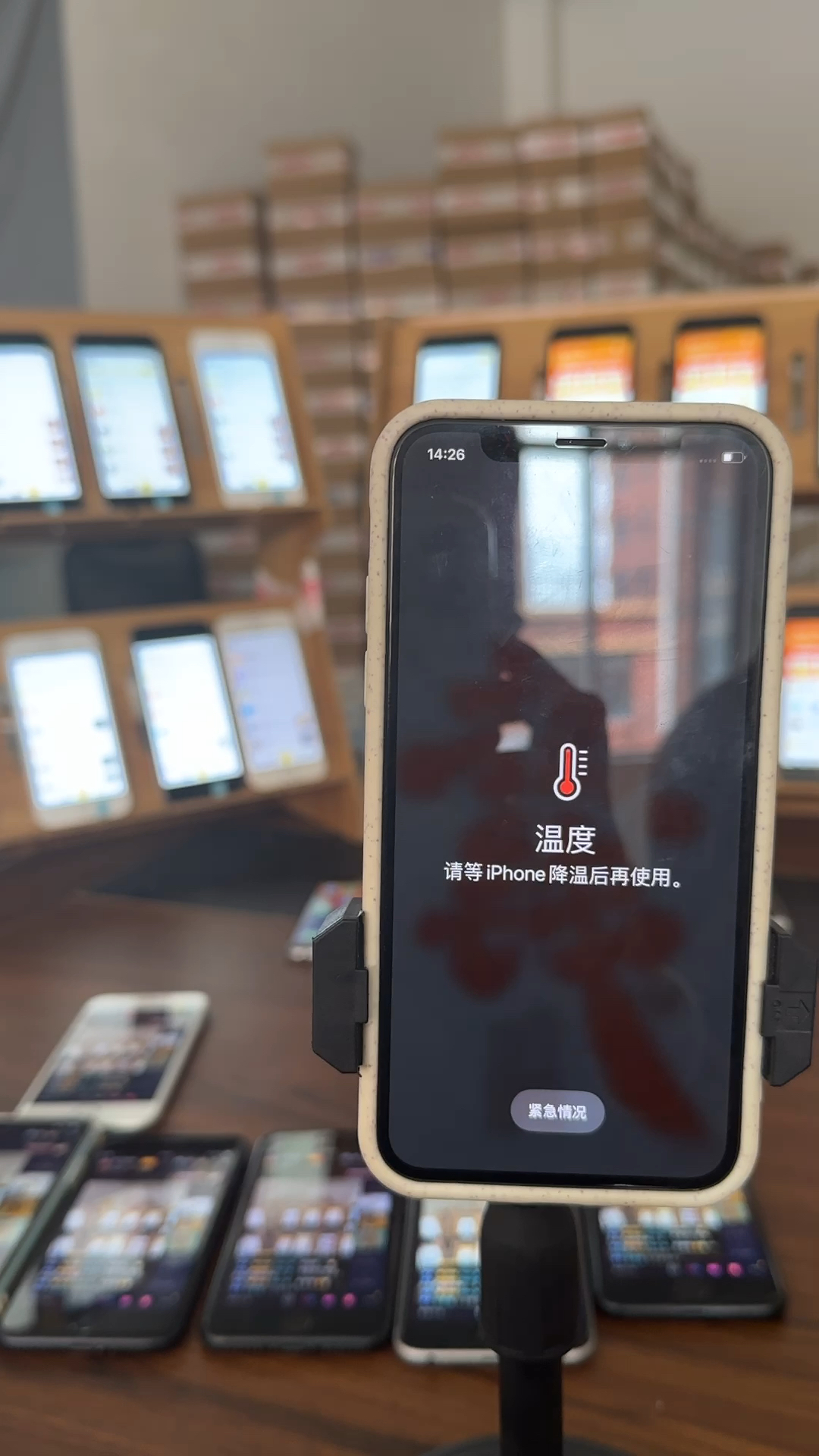 蘋果最新直播，科技與文化的完美融合盛宴