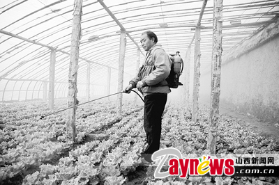 最新農(nóng)藥抽檢結(jié)果出爐，守護農(nóng)田安全，你我他的共同責任