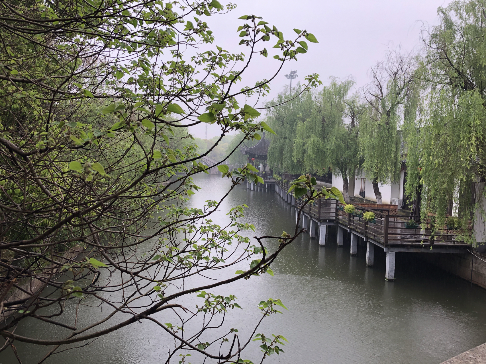 江南煙雨最新，自信與成就感的成長之旅