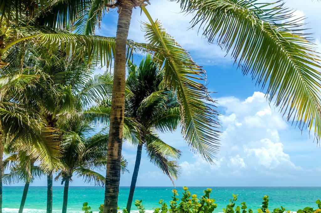 科技重塑旅行體驗(yàn)，最新付費(fèi)機(jī)場(chǎng)概覽