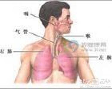 咸豐肺炎最新全面指南與詳解，癥狀、治療、步驟解析