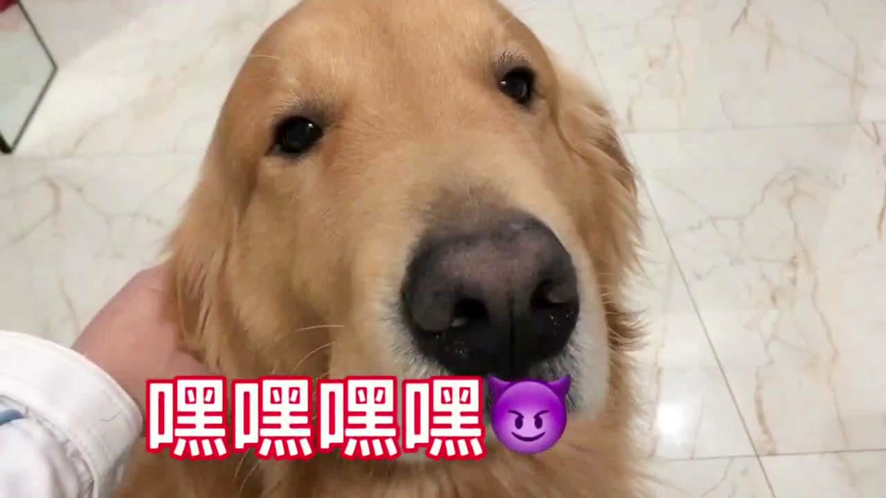 工程廠房燈具 第58頁