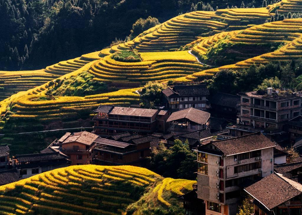 金秋天最新時(shí)尚潮流，獨(dú)特風(fēng)情展現(xiàn)魅力風(fēng)采