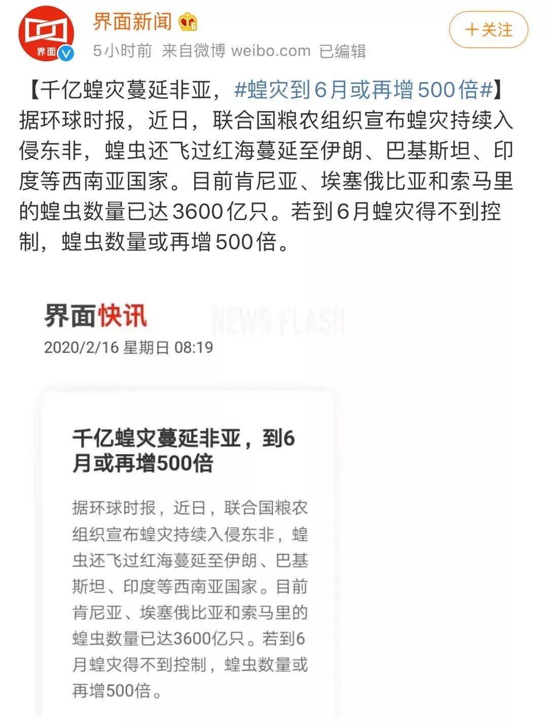 世界蝗災(zāi)最新動態(tài)，探索自然美景的輕松之旅