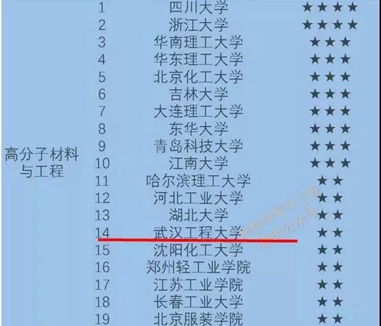 湖北最新輿情，巷弄深處的隱藏美食天堂探索