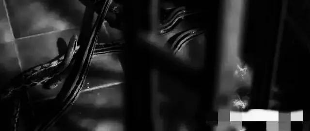 香港最新房價趨勢展望，2025年分析與展望