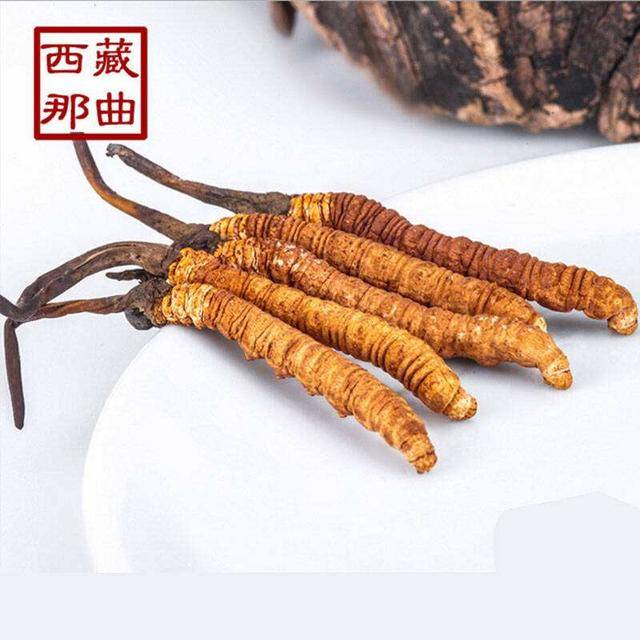 揭秘2025年蟲(chóng)草最新價(jià)格，探尋小巷中的秘密行情！