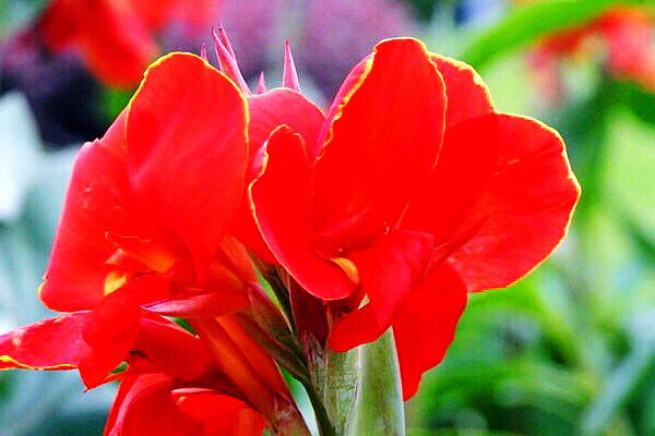 詠美最新作品——開(kāi)啟智能生活科技之門(mén)的新紀(jì)元