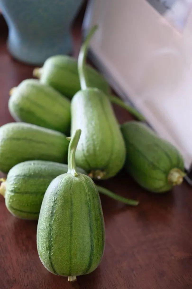 蘋果絲瓜最新版，全新升級(jí)魅力體驗(yàn)