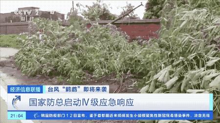 超強(qiáng)臺(tái)風(fēng)鸚鵡來襲，最新路徑動(dòng)態(tài)全解析???